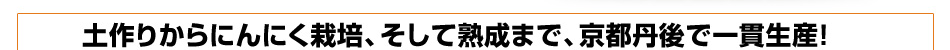 土作りからにんにく栽培、そして熟成まで、京都丹後で一貫生産
