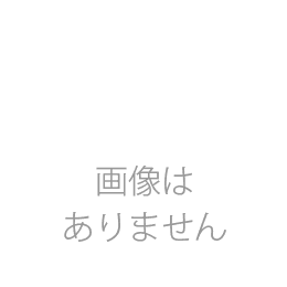 フルーツガーリックぴゅあ完熟発酵100% 5本入(袋)